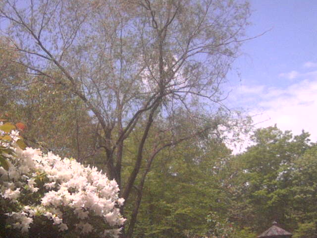 Return to ManorvilleWeather.com